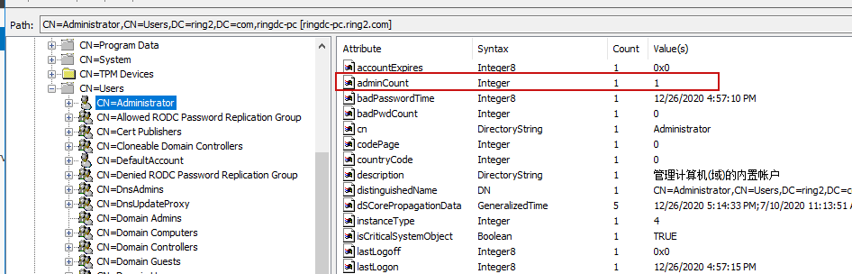 image-20201226175652337